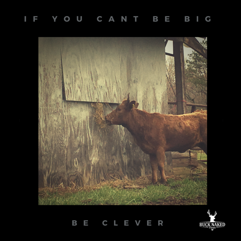 If you cant be big-2