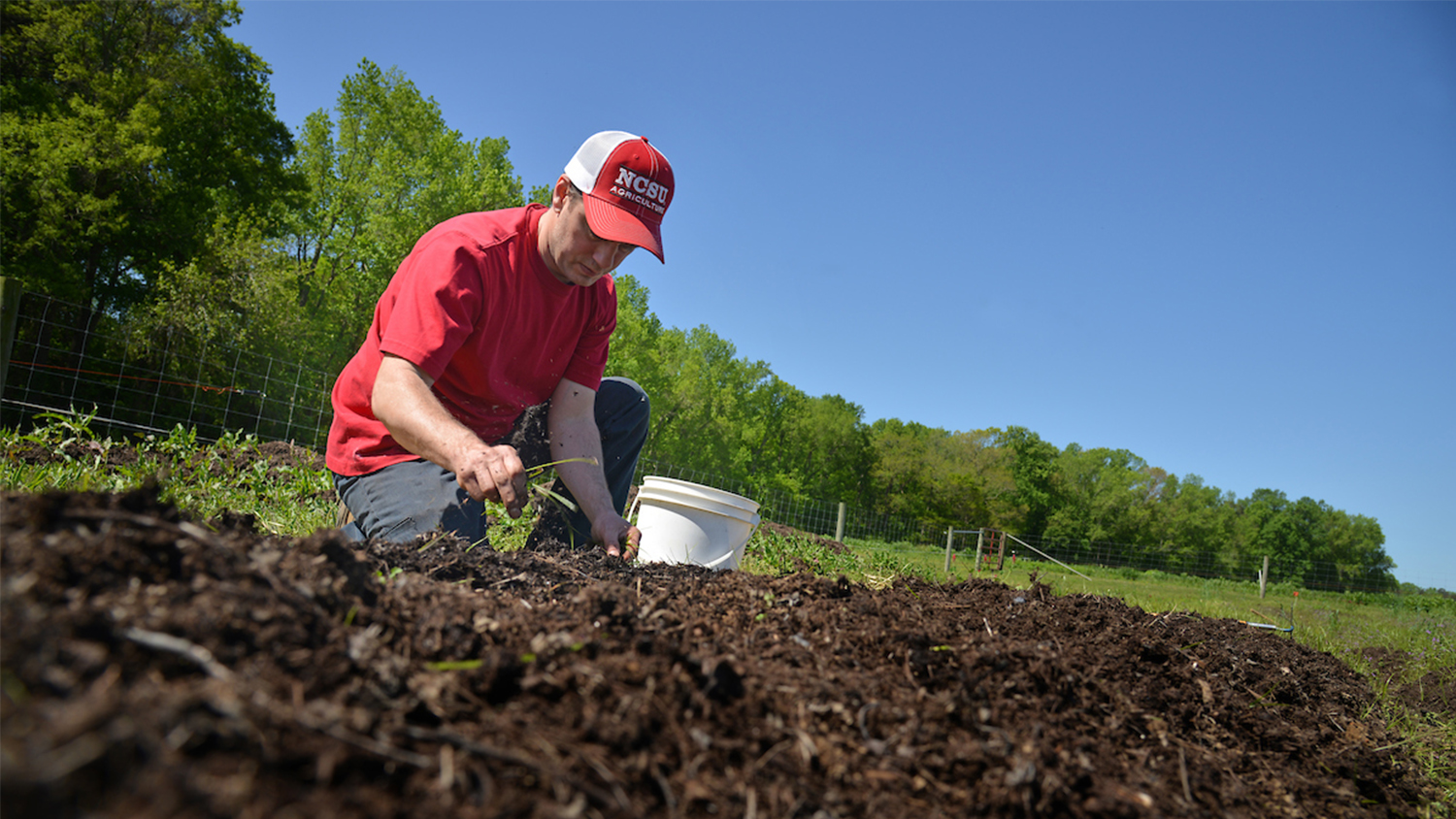 Man in red hat digs in soil