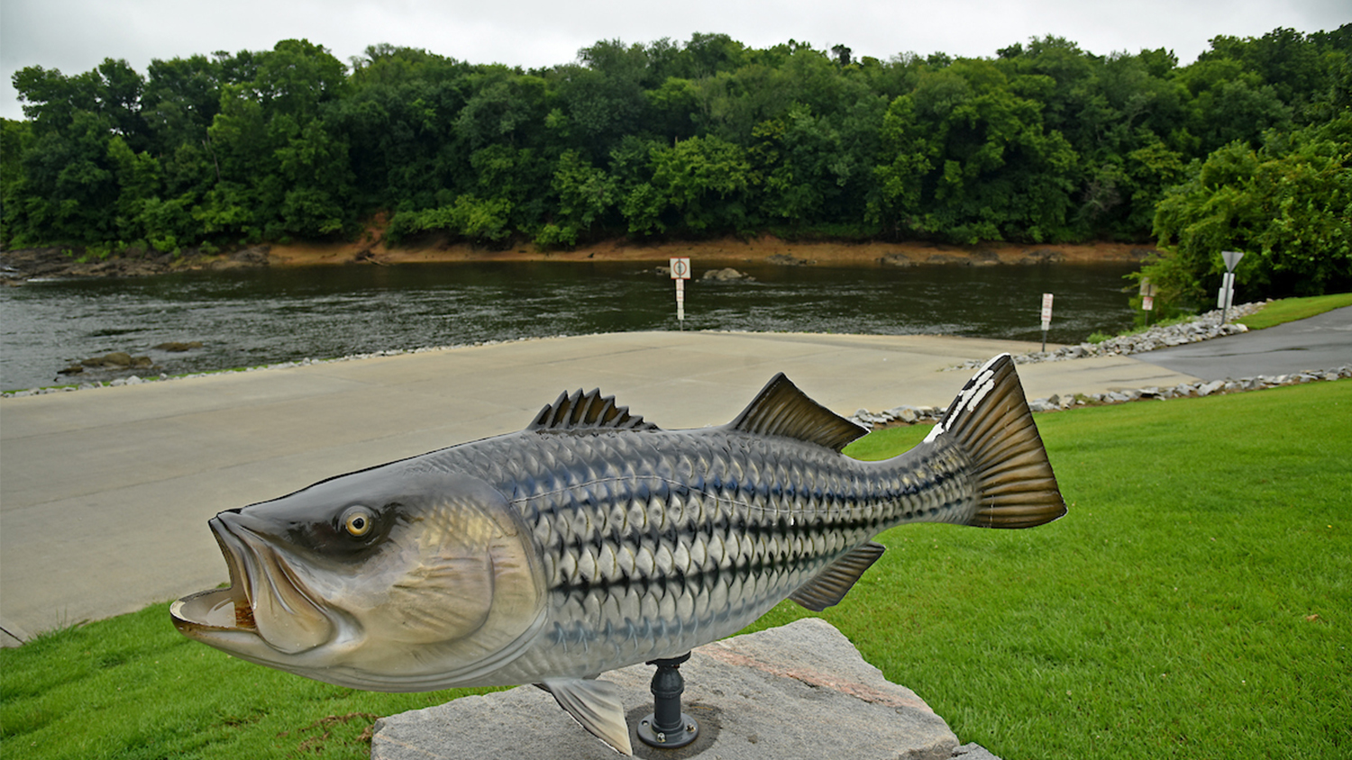 fish statue at NC park