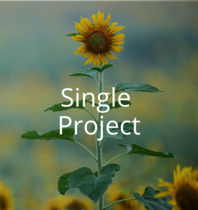 Single project