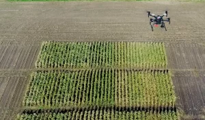 drone-over-field-trial (1)